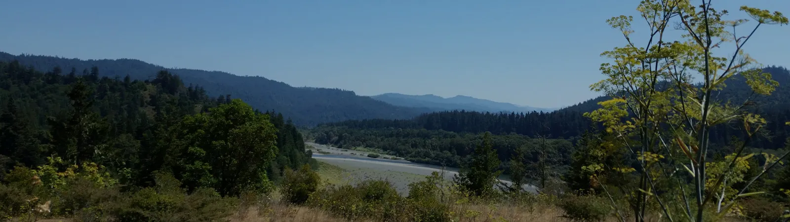 Transform Your Online Presence with Tailored Website Designs!